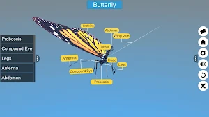 Diversity in Living:Arthropoda Screenshot 3
