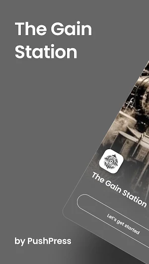 The Gain Station Screenshot 0