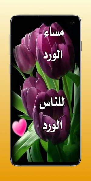 صور عن مساء الخير Screenshot 1