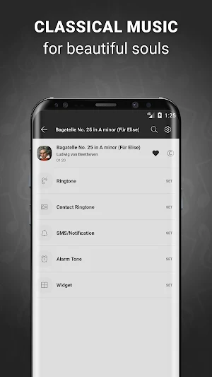 Classical Music Ringtones Screenshot 1