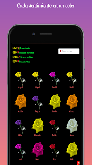 Rosa Virtual Screenshot 1