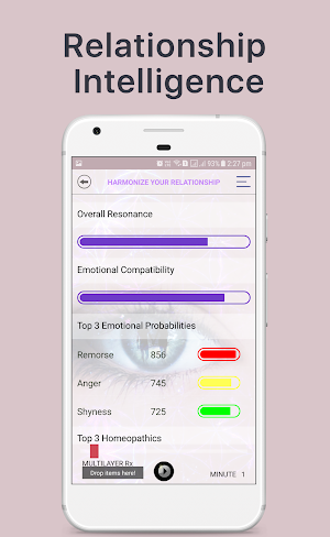 Relationship Harmonizer Screenshot 2