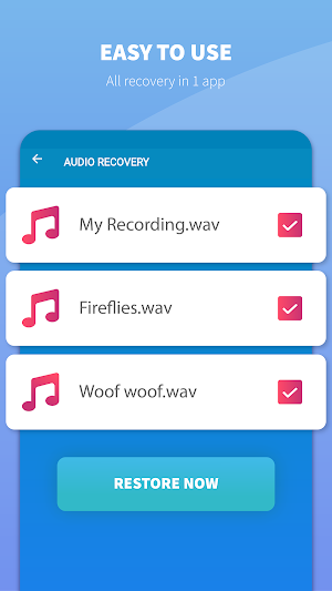 Data Recovery - Photo Recovery & Video Recovery Screenshot 3