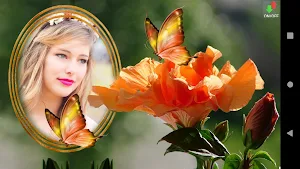 Romantic Photo Frames Screenshot 3