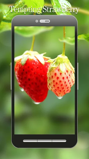 Red Strawberry Live Wallpaper Screenshot 0