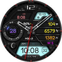 SALDAROT WS121 Watch face