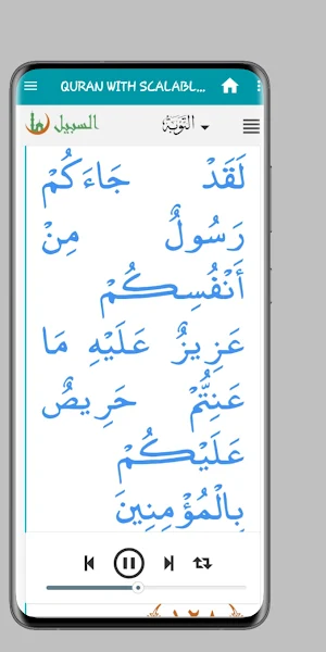 QURAN WITH SCALABLE FONT SIZES Screenshot 3