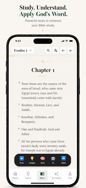 BibleWise: Learn the Bible Screenshot 3