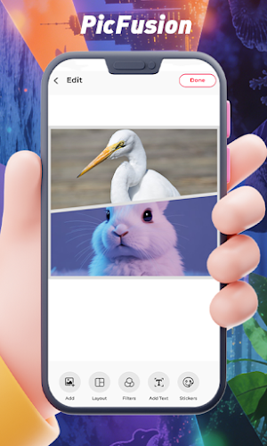 PicFusion Screenshot 2