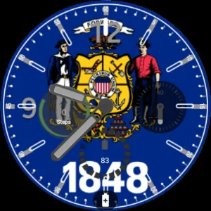 Wisconsin Flag Watchface Screenshot 2