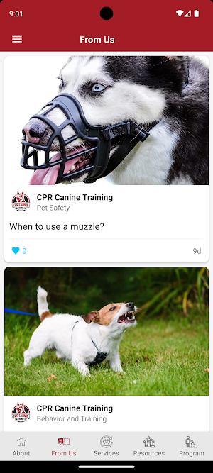 CPR Canine Training Screenshot 1