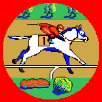 Horse Racing Coin Derby
