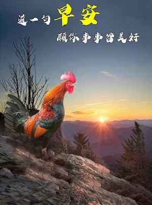 早安賀卡 Screenshot 3
