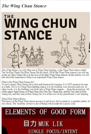 Wing Chun Fight Tutorial Screenshot 0