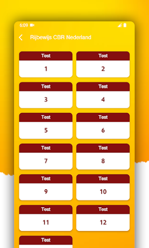 Rijbewijs CBR Nederland Screenshot 1