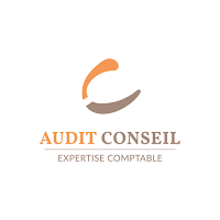AUDIT CONSEIL ISUITE