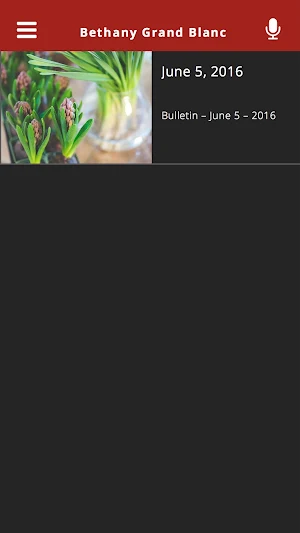 Bethany Grand Blanc Screenshot 3