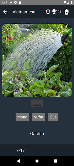 Vietnamese Language Tests Screenshot 3