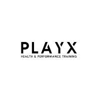 PlayX Performance