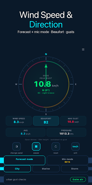 Wind Meter: Anemometer Screenshot 0