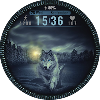 Winter Wolf Watchface Wear Os