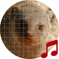 Mongoose sounds ~ Sboard.pro