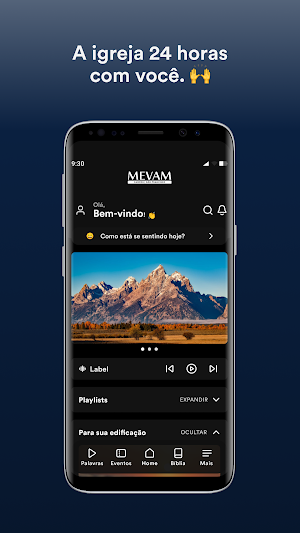 MEVAM Campos/SFI Screenshot 0