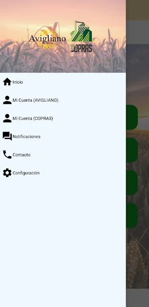 Avigliano y CIA SRL Screenshot 2