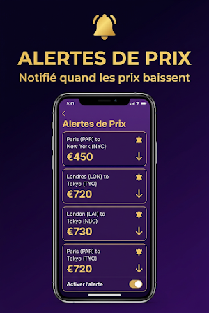 Cheap Flight - Vols pas chers Screenshot 1