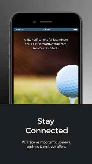 Kaanapali Golf Courses Screenshot 3