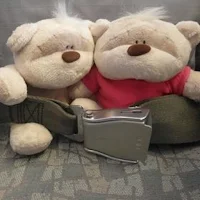 2BearBear Travels