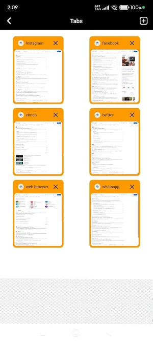 ZZX Private Browser 2025 Screenshot 2