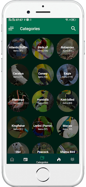 1000+ Birds Wallpapers 4K HD Screenshot 2