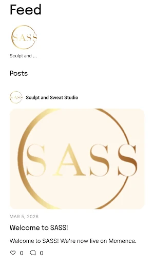 SASS Screenshot 1