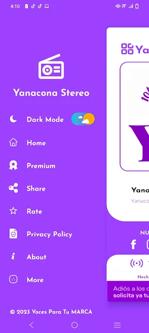 Yanacona Stereo Screenshot 2