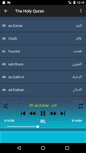 Ali Al Huthaify full Quran (Gallon) offline & read Screenshot 1