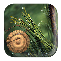 Water and Gong Sounds