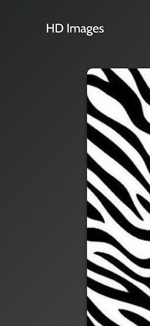 Zebra Print Backgrounds Screenshot 1