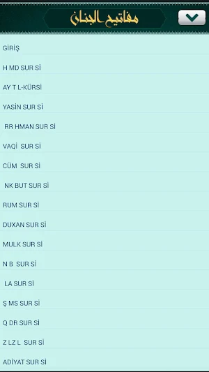 MəfatihulCinan Screenshot 1