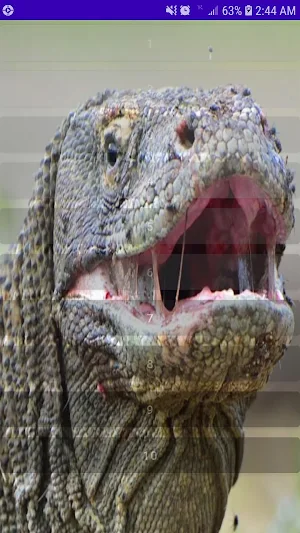 Komodo Dragon Reptile Sounds Screenshot 1