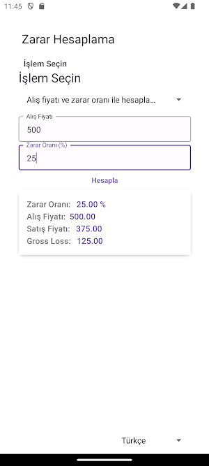 Loss Calculation Screenshot 0
