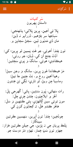 Shah Jo Risalo- Javaid Solangi Screenshot 3