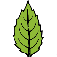 MintsVPN: Secure and Fast VPN