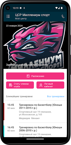 ЦСР Миллениум спорт Screenshot 1