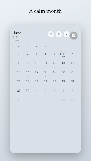 Daypages: Calm Calendar Screenshot 2