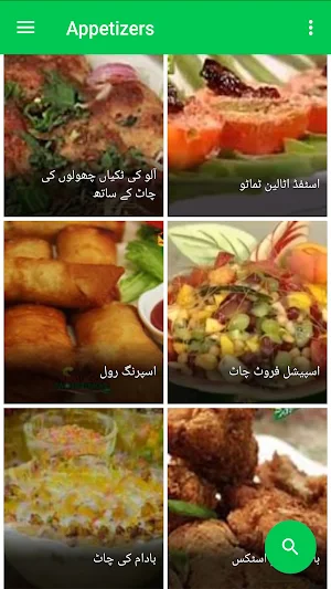 Chaat Recipes in Urdu Screenshot 3