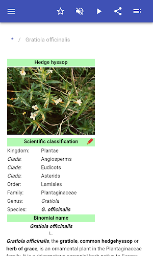 Medicinal herbs Screenshot 1