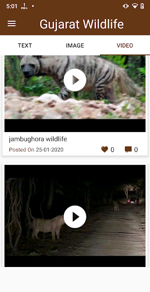 Gujarat Wildlife - Forest Screenshot 3