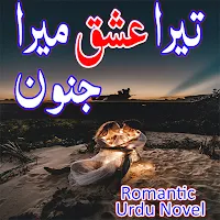 Tera Ishq Mera Junoon - Novel