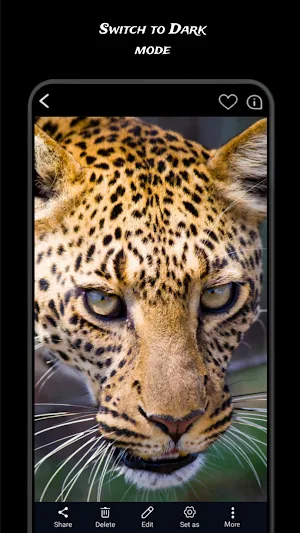 Dark Gallery Pro - photo album Screenshot 0